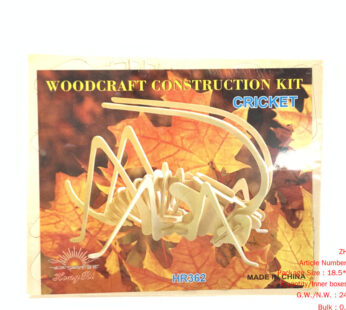 3D wooden puzzle