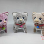 (Ordinary Cry) Walking Two-Tone Cat
