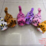 Forward Curved Tail Ordinary Flower Cat